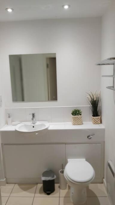 Piquancy Apartments - Sheffield City Centre المظهر الخارجي الصورة